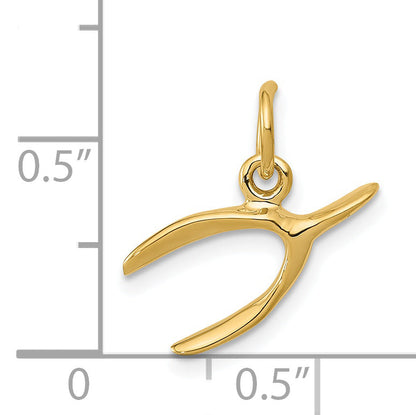 14k Yellow Gold 14k Wishbone Charm