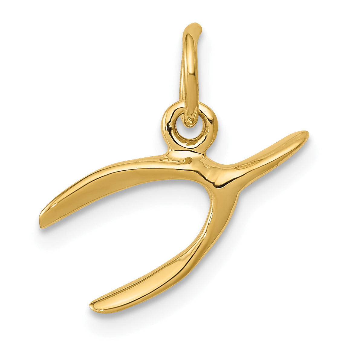 14k Yellow Gold 14k Wishbone Charm