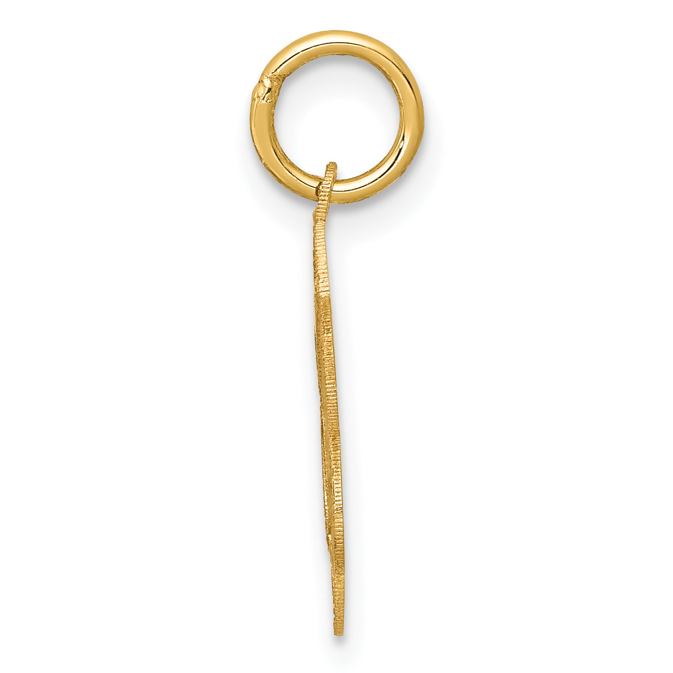 14k Yellow Gold 14k Holy Communion Charm