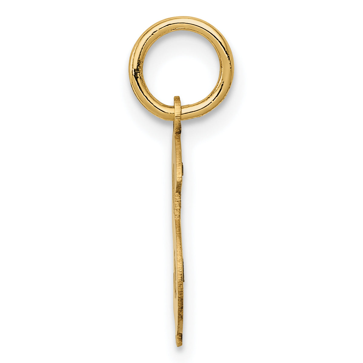 14k Yellow Gold 14k Polished Dollar Sign Charm