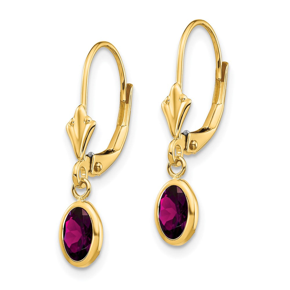 14K Yellow Gold 6X4 Oval Bezel June/Rhodolite Leverback Earrings