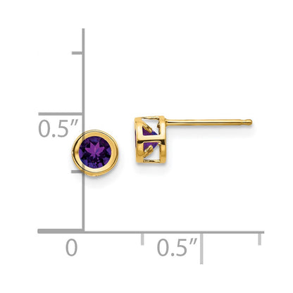 14K Yellow Gold 4mm Bezel February/Amethyst Post Earrings
