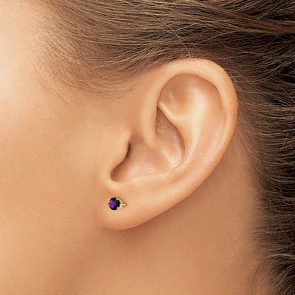 14K Yellow Gold 4mm February/Amethyst Post Earrings