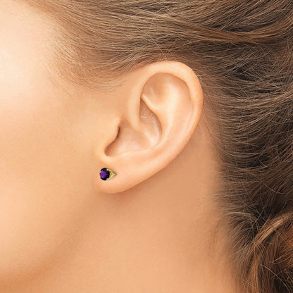 14K Yellow Gold 5mm Amethyst Earrings February