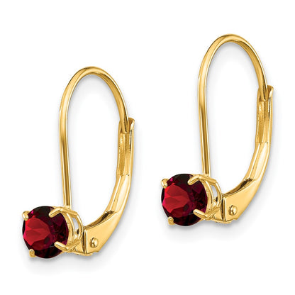 14K Yellow Gold Garnet Earrings January