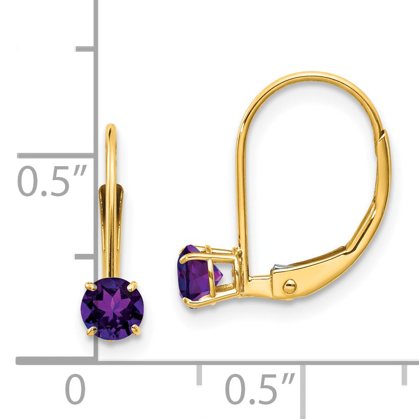 14K Yellow Gold Amethyst Earrings February