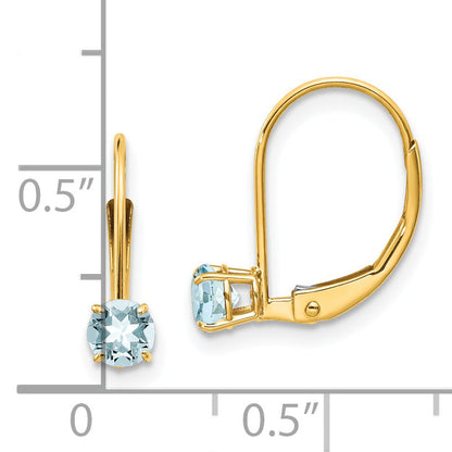 14K Yellow Gold Aquamarine Earrings March