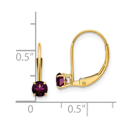 14K Yellow Gold 4mm Round June/Rhodolite Leverback Earrings