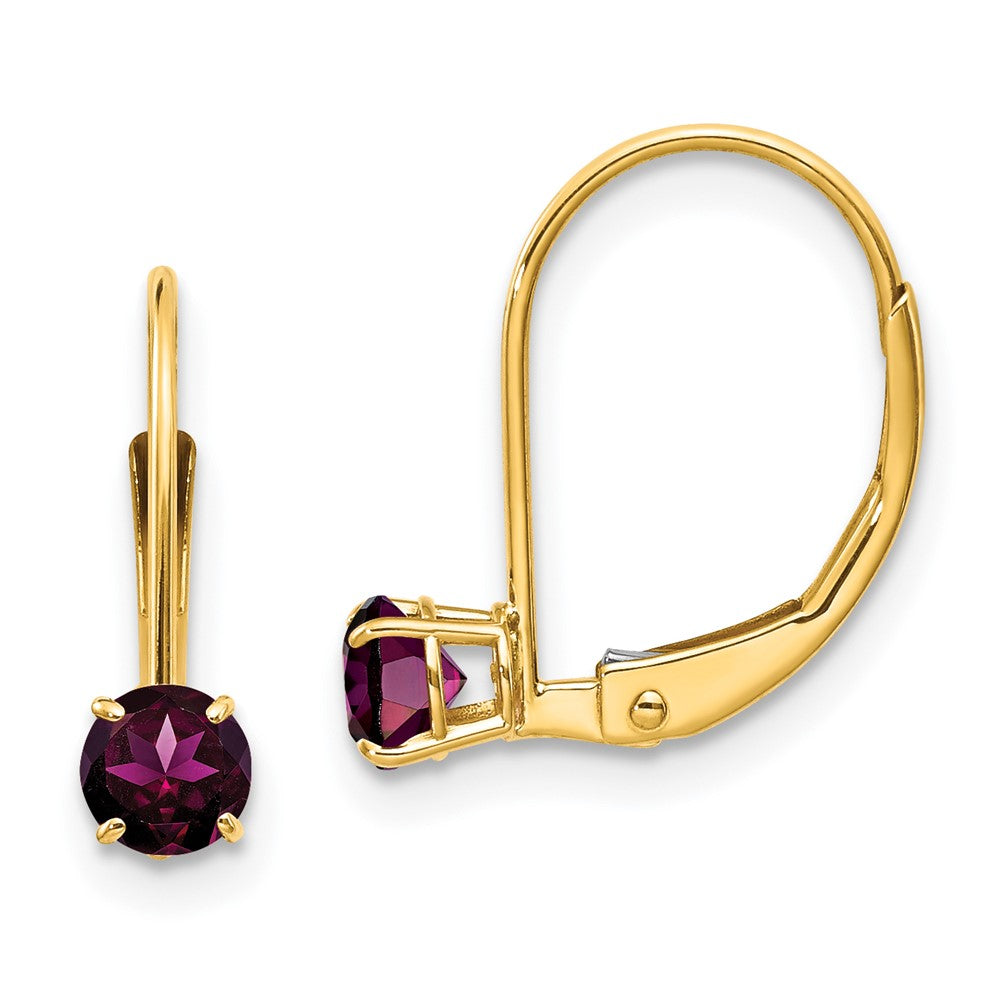 14K Yellow Gold 4mm Round June/Rhodolite Leverback Earrings
