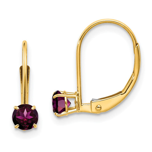 14K Yellow Gold 4mm Round June/Rhodolite Leverback Earrings