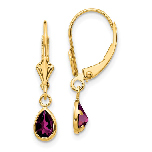 14K Yellow Gold 6X4mm Rhodolite Garnet/June Earrings