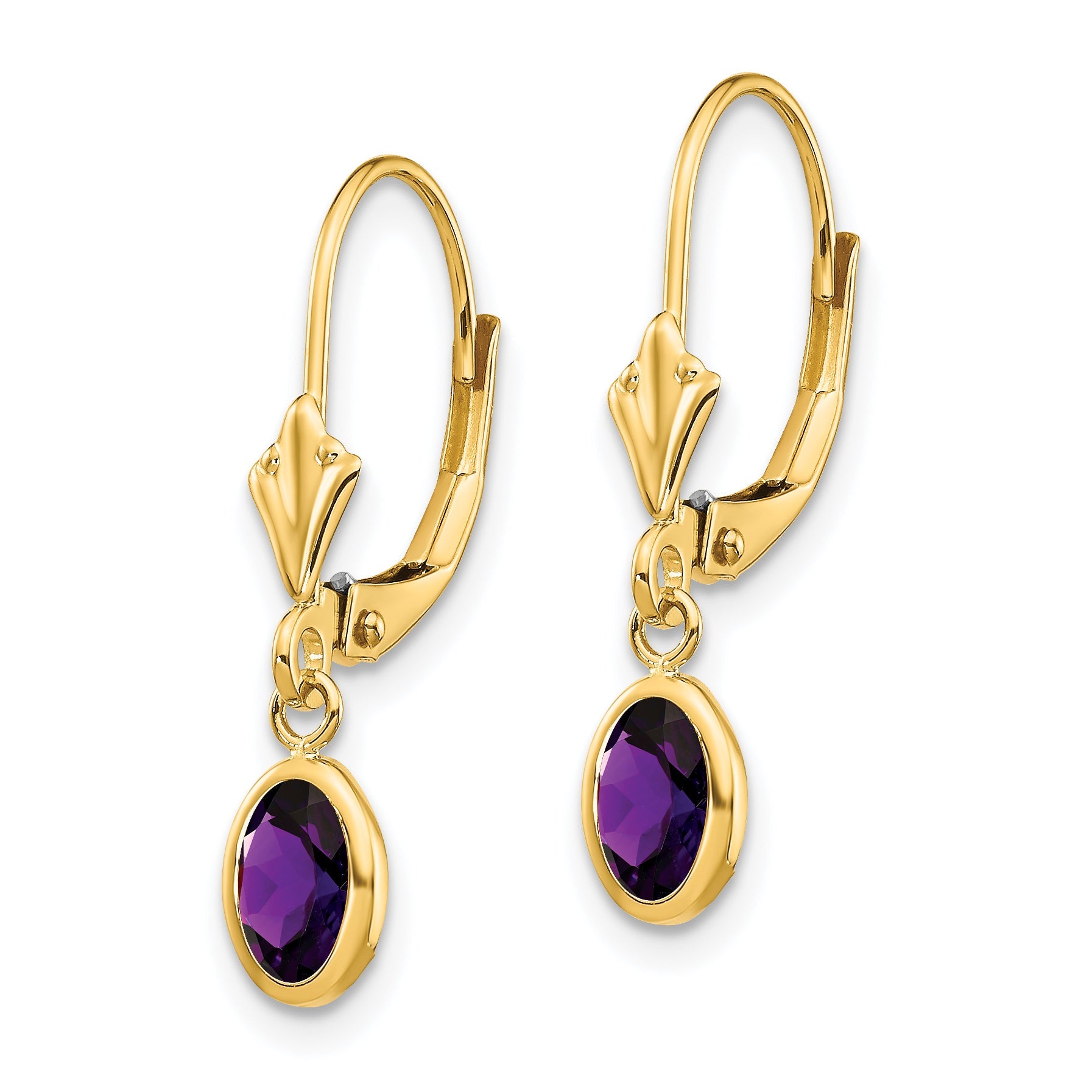 14K Yellow Gold 6X4mm February/Amethyst Earrings