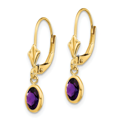14K Yellow Gold 6X4mm February/Amethyst Earrings