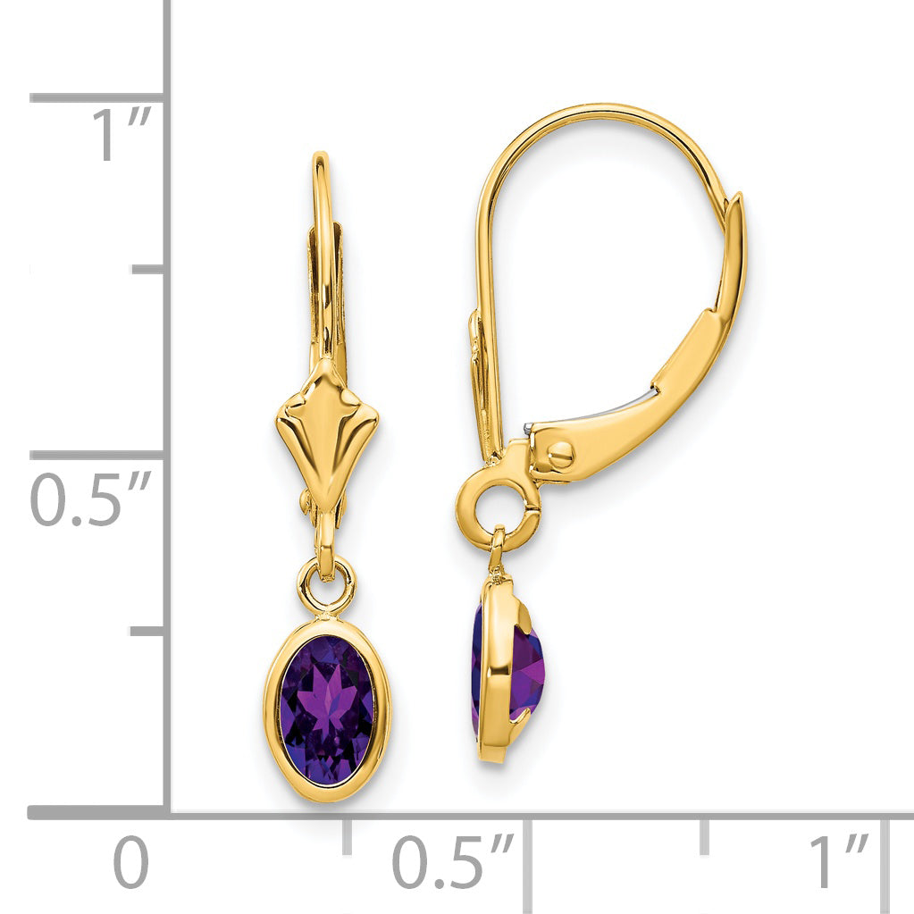 14K Yellow Gold 6X4mm February/Amethyst Earrings