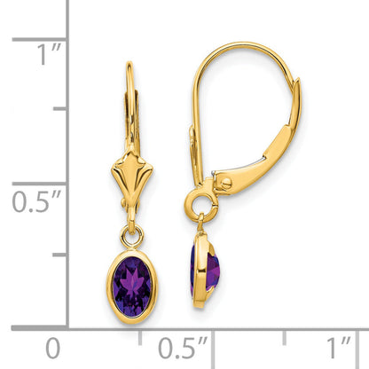 14K Yellow Gold 6X4mm February/Amethyst Earrings