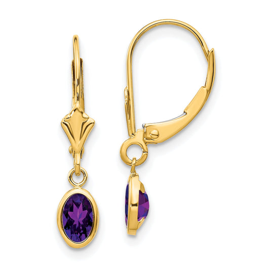 14K Yellow Gold 6X4mm February/Amethyst Earrings