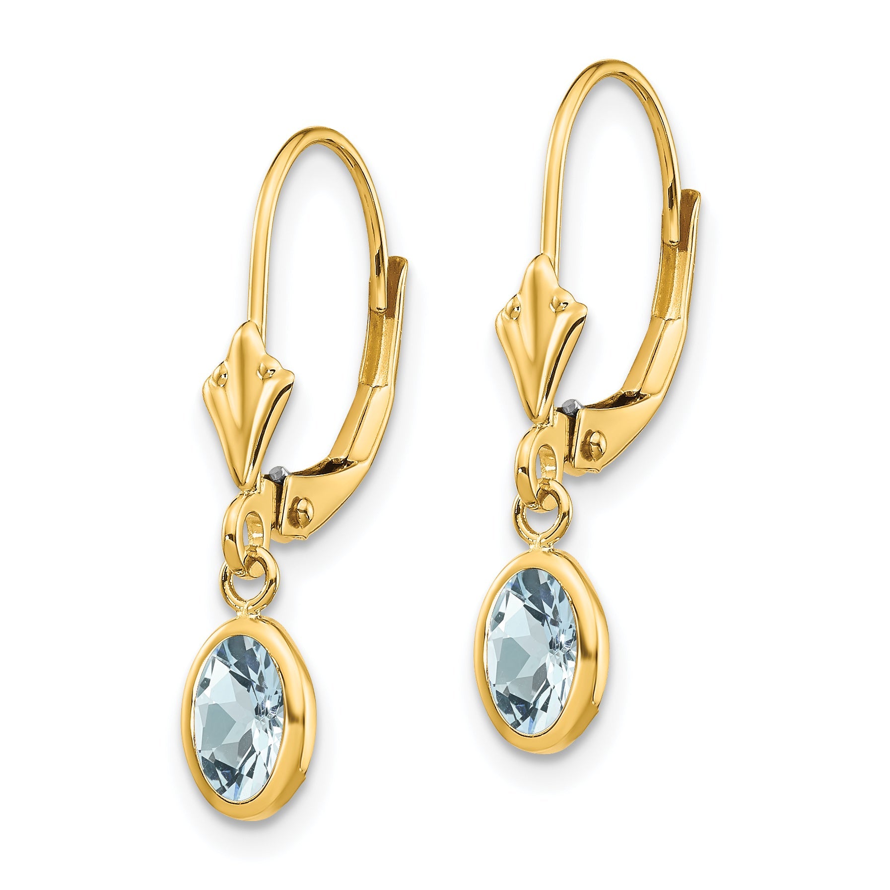 14K Yellow Gold 6X4mm Aquamarine/March Earrings