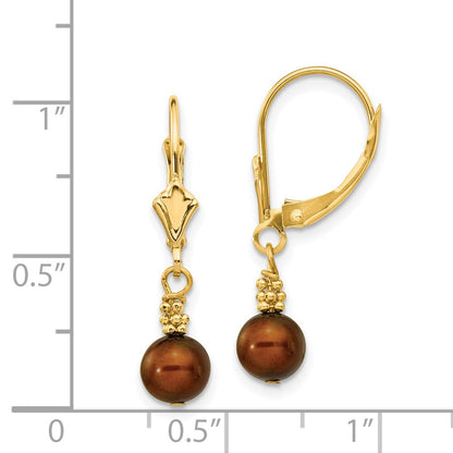 14K Yellow Gold 5 6mm Brown Semi Round Freshwater Cultured Pearl Dangle Leverback Earrings