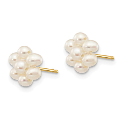 14K Yellow Gold 2 3mm White Egg Freshwater Cultured Pearl Flower Earrings