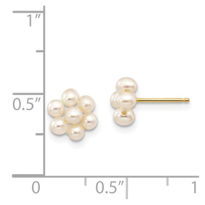 14K Yellow Gold 2 3mm White Egg Freshwater Cultured Pearl Flower Earrings