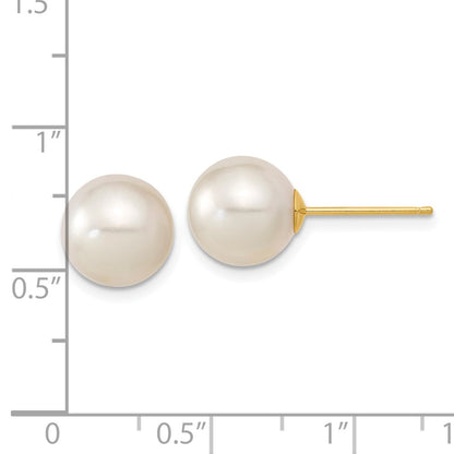 14K Yellow Gold 9 10mm White Round South Sea Saltwater Cultured Pearl Post Earrings