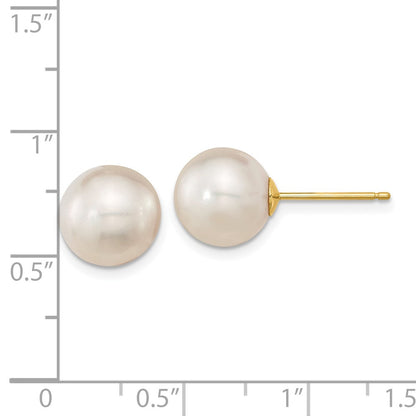 14K Yellow Gold 10 11mm White Round South Sea Saltwater Cultured Pearl Post Earrings