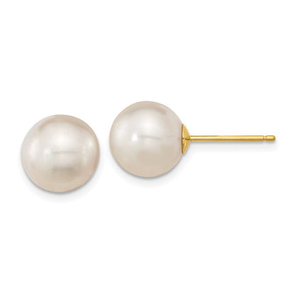 14K Yellow Gold 10 11mm White Round South Sea Saltwater Cultured Pearl Post Earrings