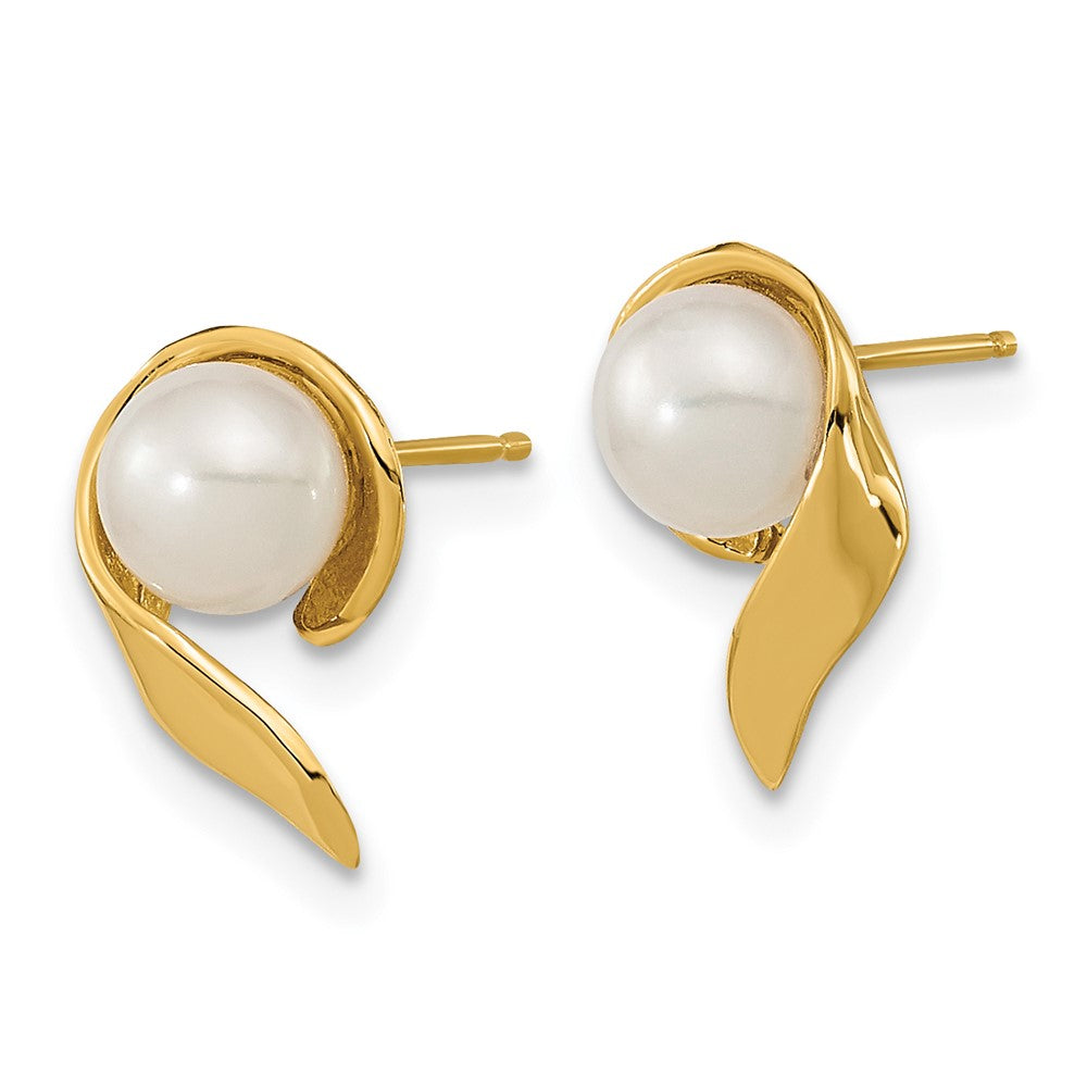 14K Yellow Gold 5 6mm White Button Freshwater Cultured Pearl Post Earrings