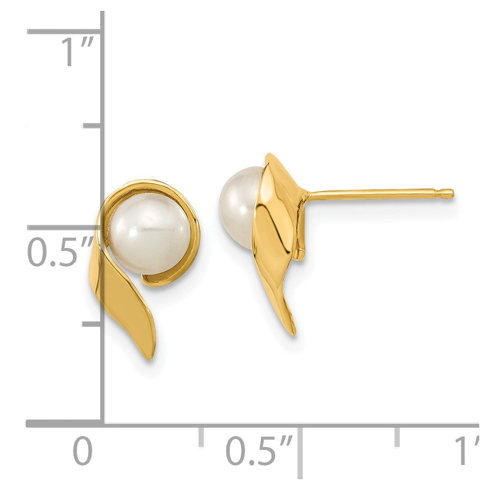14K Yellow Gold 5 6mm White Button Freshwater Cultured Pearl Post Earrings