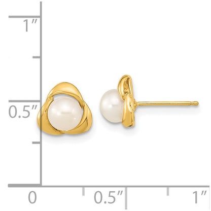14K Yellow Gold 5 6mm White Button Freshwater Cultured Pearl Post Earrings