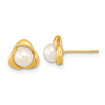 14K Yellow Gold 5 6mm White Button Freshwater Cultured Pearl Post Earrings