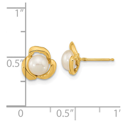 14K Yellow Gold 5 6mm White Button Freshwater Cultured Pearl Post Earrings