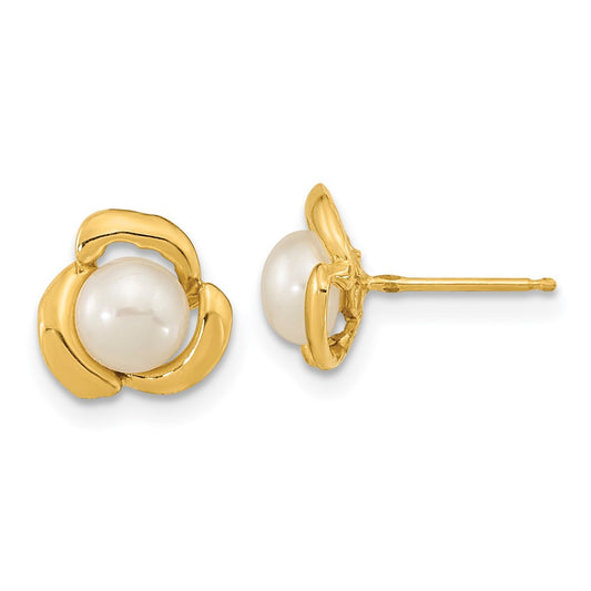 14K Yellow Gold 5 6mm White Button Freshwater Cultured Pearl Post Earrings