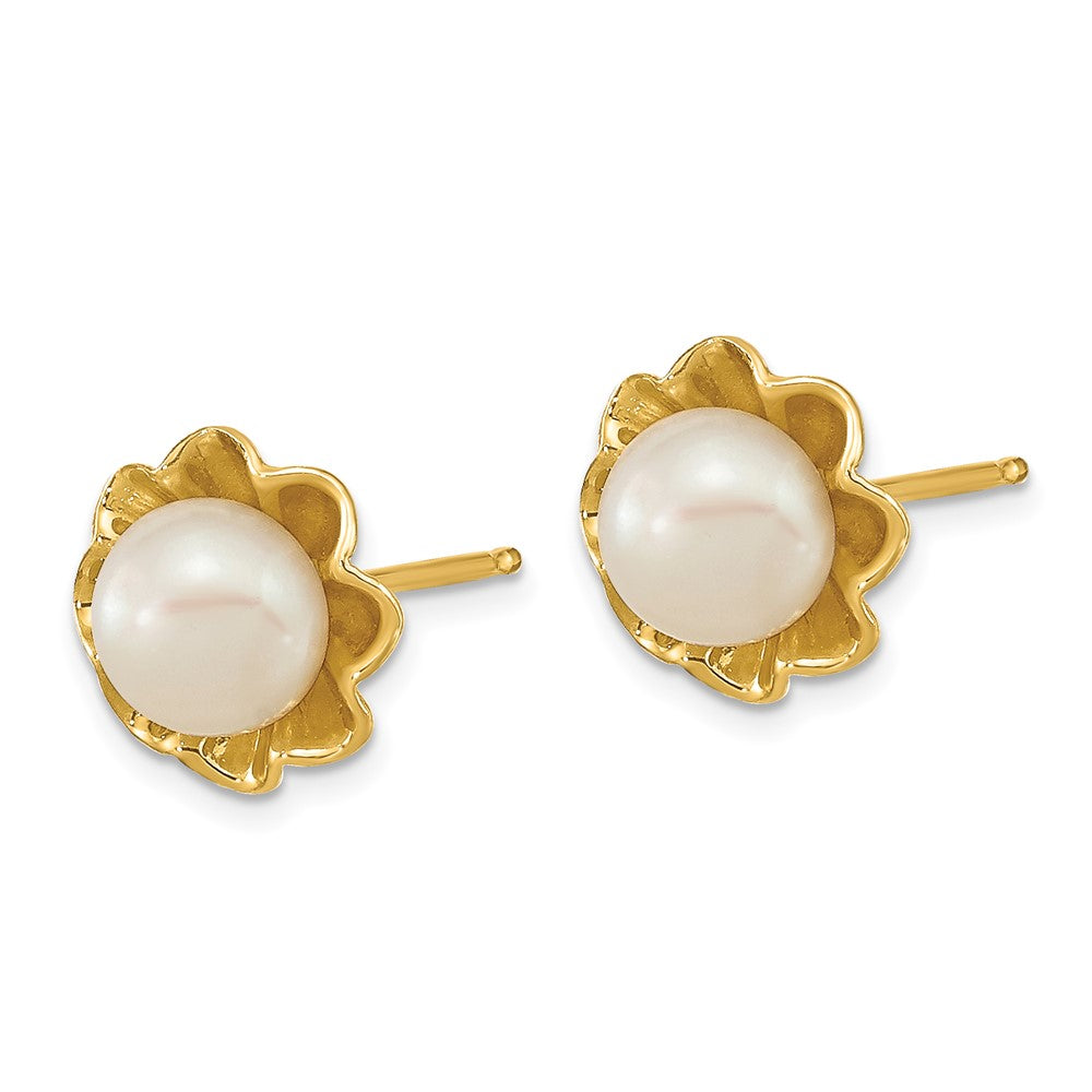 14K Yellow Gold 5 6mm White Button Freshwater Cultured Pearl Post Earrings
