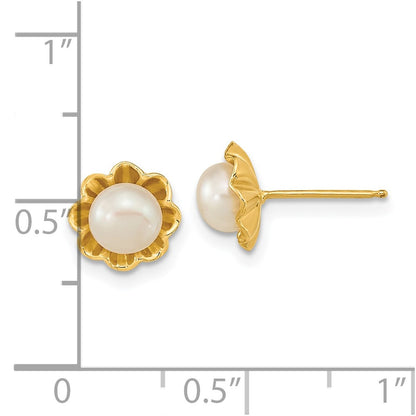 14K Yellow Gold 5 6mm White Button Freshwater Cultured Pearl Post Earrings