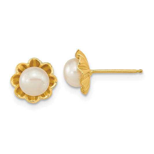 14K Yellow Gold 5 6mm White Button Freshwater Cultured Pearl Post Earrings