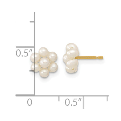 14K Yellow Gold 2 3mm White Button Freshwater Cultured Pearl Flower Earrings