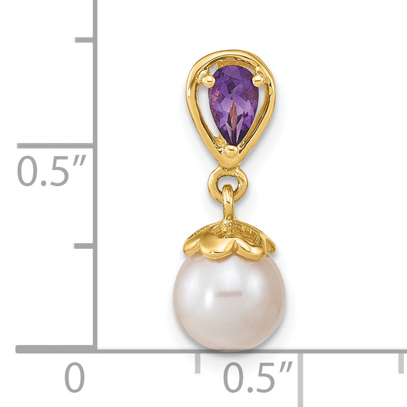 14k Yellow Gold 14K Gold w/ Amethyst & Freshwater Cultured Pearl Polished Chain Slide