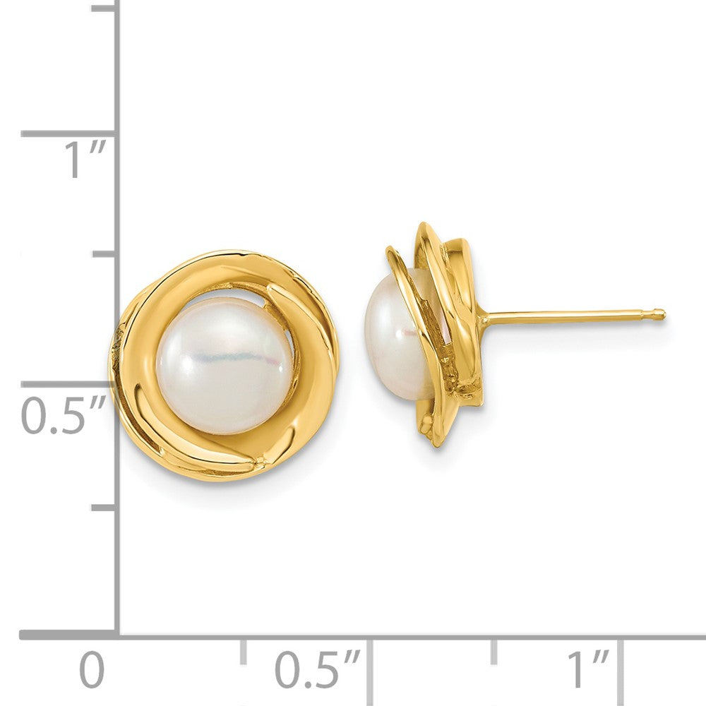 14K Yellow Gold 6 7mm White Button Freshwater Cultured Pearl Post Earrings