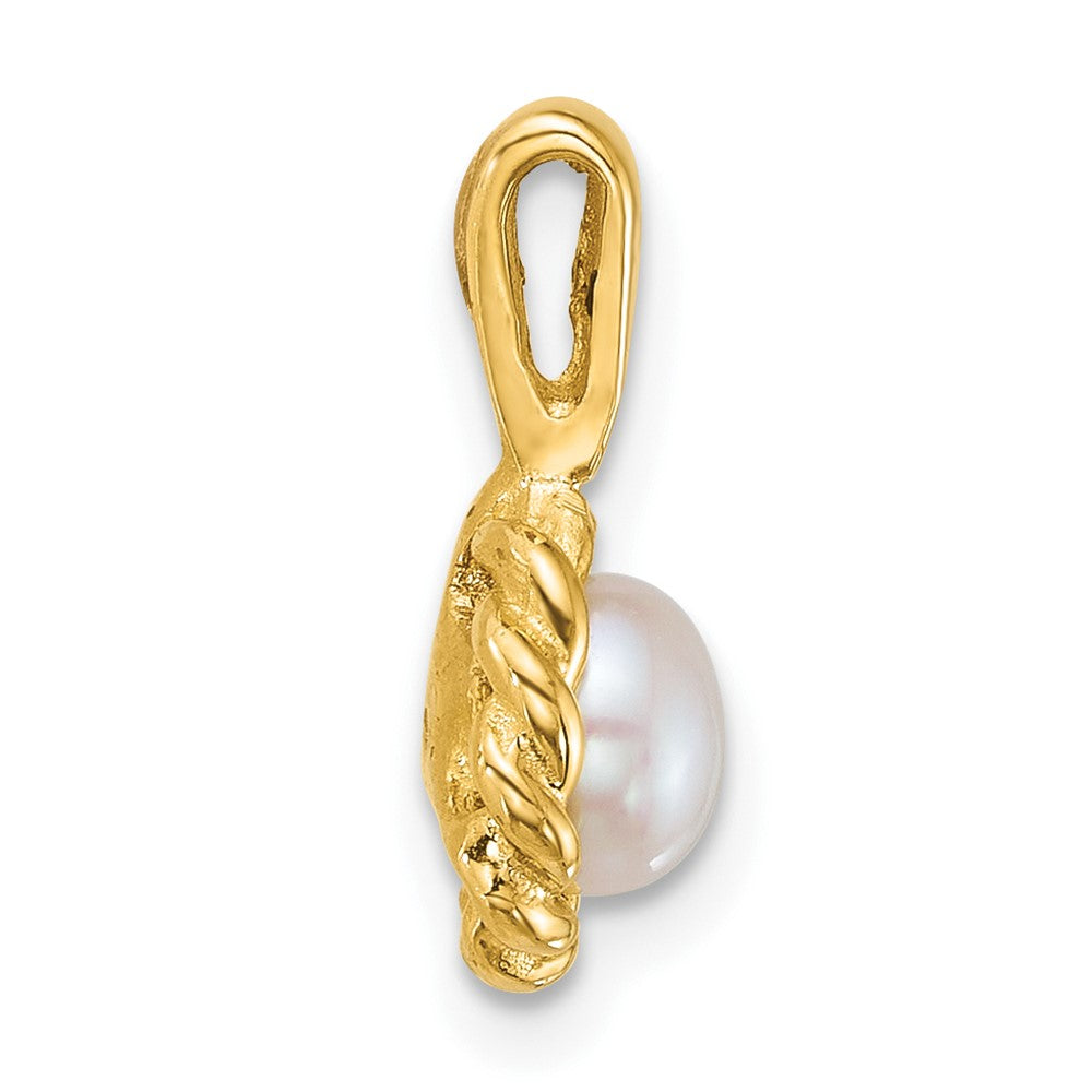14K Yellow Gold Polished 5-6mm Button Freshwater Cultured Pearl Pendant