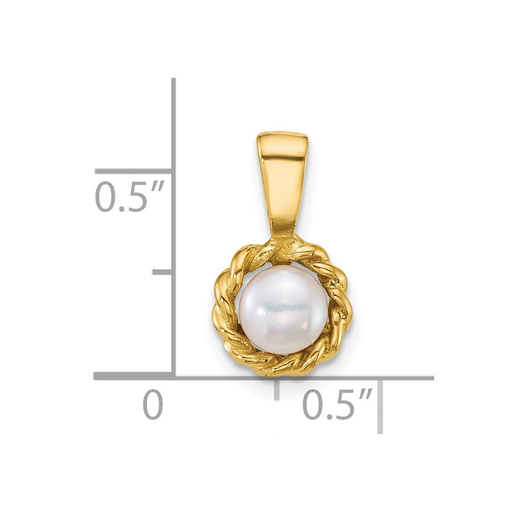 14K Yellow Gold Polished 5-6mm Button Freshwater Cultured Pearl Pendant