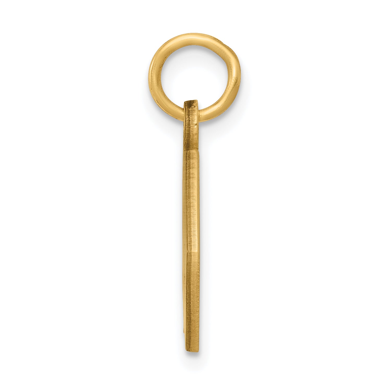 14k Yellow Gold 14k Non-enameled Medical Jewelry Pendant