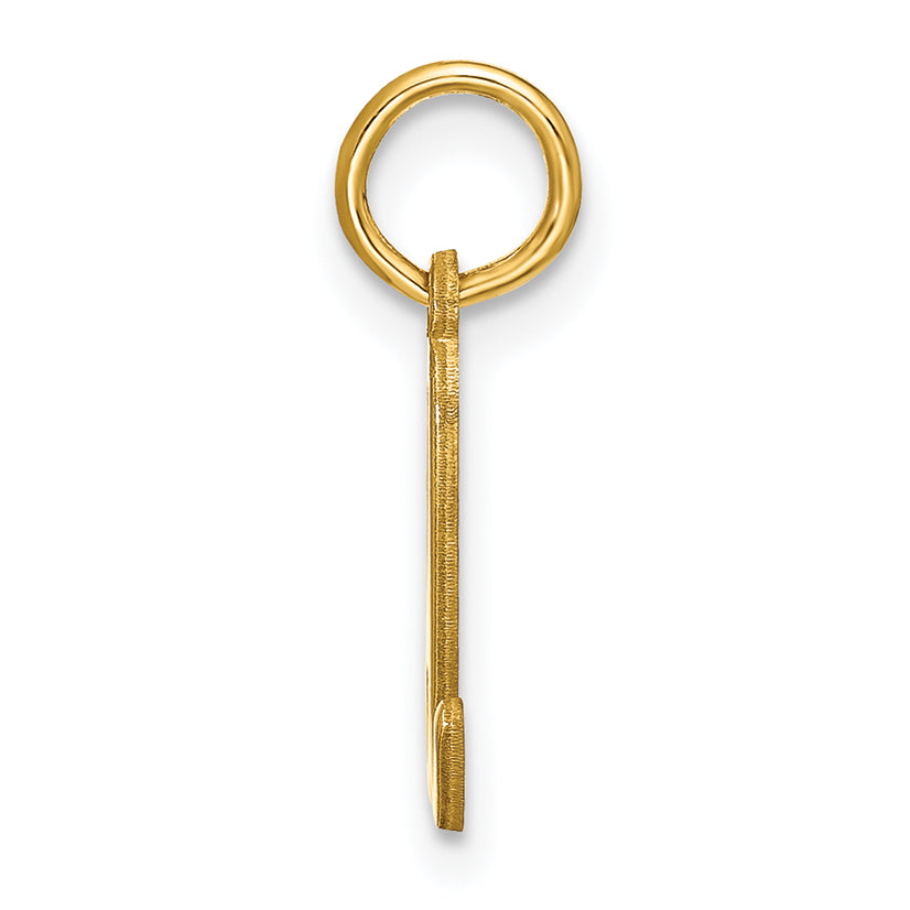 14k Yellow Gold 14KY Lower case Letter D Initial Charm