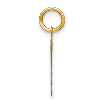 14k Yellow Gold 14KY Lower case Letter G Initial Charm