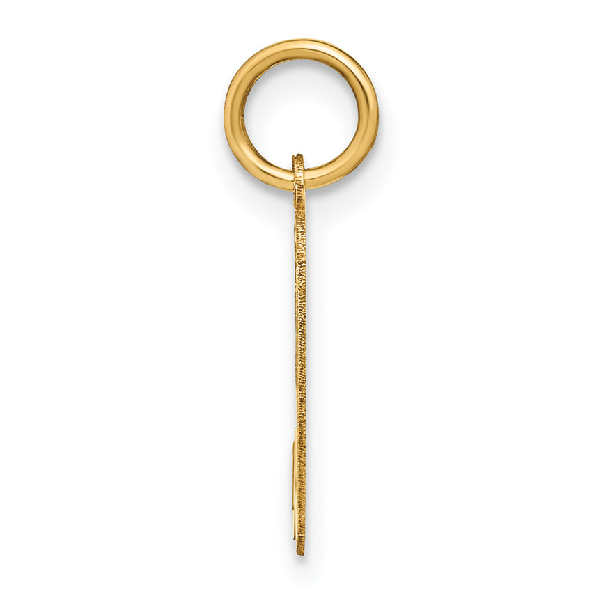 14k Yellow Gold 14KY Lower case Letter H Initial Charm