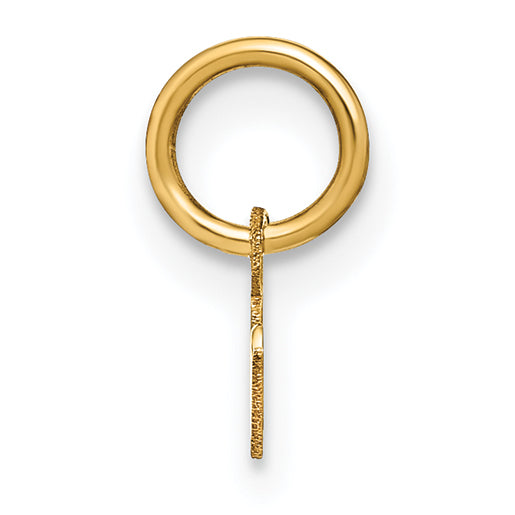 14k Yellow Gold 14KY Lower case Letter R Initial Charm