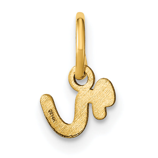 14k Yellow Gold 14KY Lower case Letter R Initial Charm
