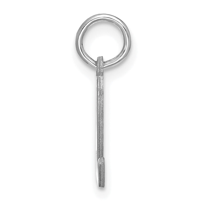 14k White Gold 14KW Lower case Letter D Initial Charm