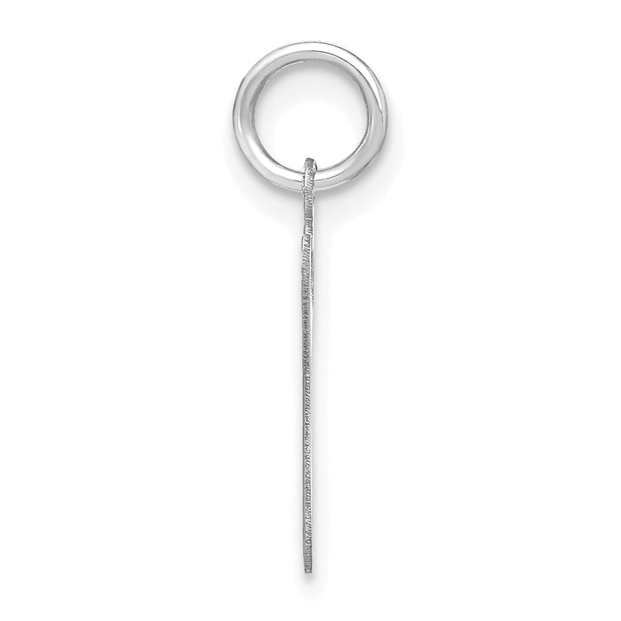 14k White Gold 14KW Lower case Letter G Initial Charm