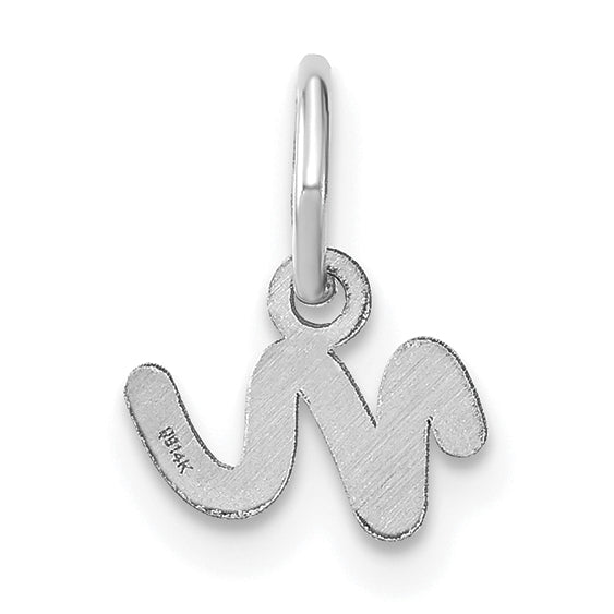 14k White Gold 14KW Lower case Letter N Initial Charm